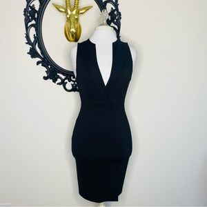 Black Swan Deep V Fitted Knee Length Dress